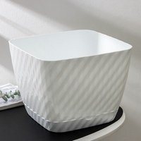 articul-A146556