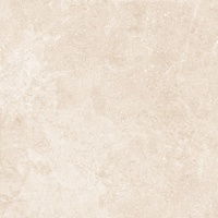 articul-A231863