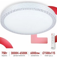 articul-A232602-2