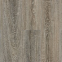 articul-A236359