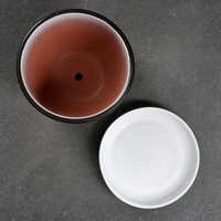 articul-A239683-2