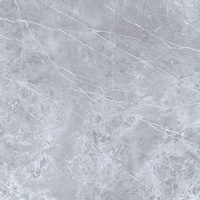 articul-A258556-2