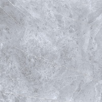 articul-A258556-3
