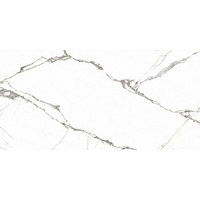 A260581-2 articul-A260581-2