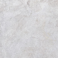 articul-A303584
