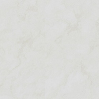 articul-A305398
