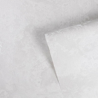 articul-A338485-2