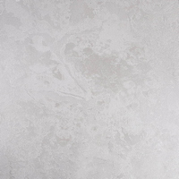 articul-A338488