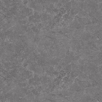 articul-A341980