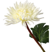articul-A354103-2
